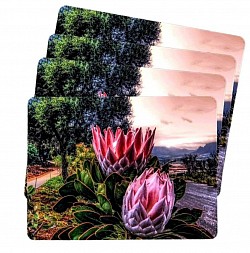 King protea placemats